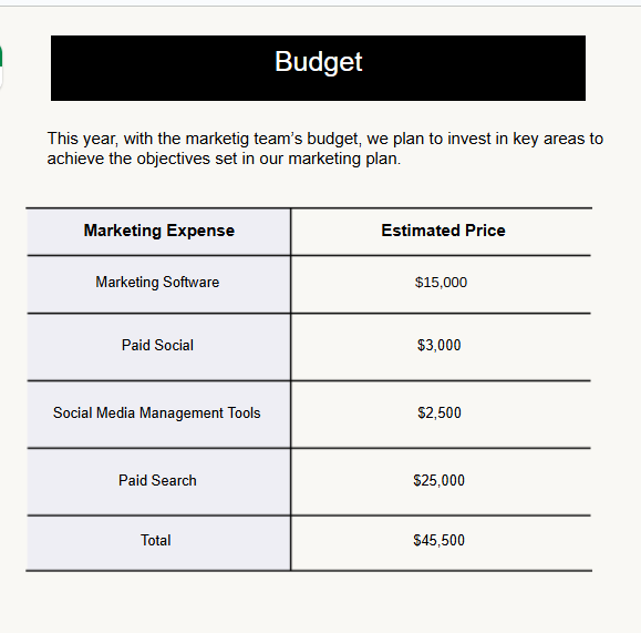 A screenshot image showing the budget shared to execute a company marketing plan.